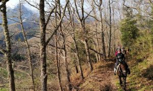 ruta-caballo-picos-europa-Aravalle3