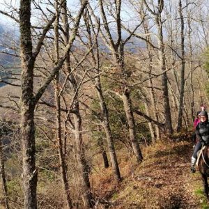 ruta-caballo-picos-europa-Aravalle3